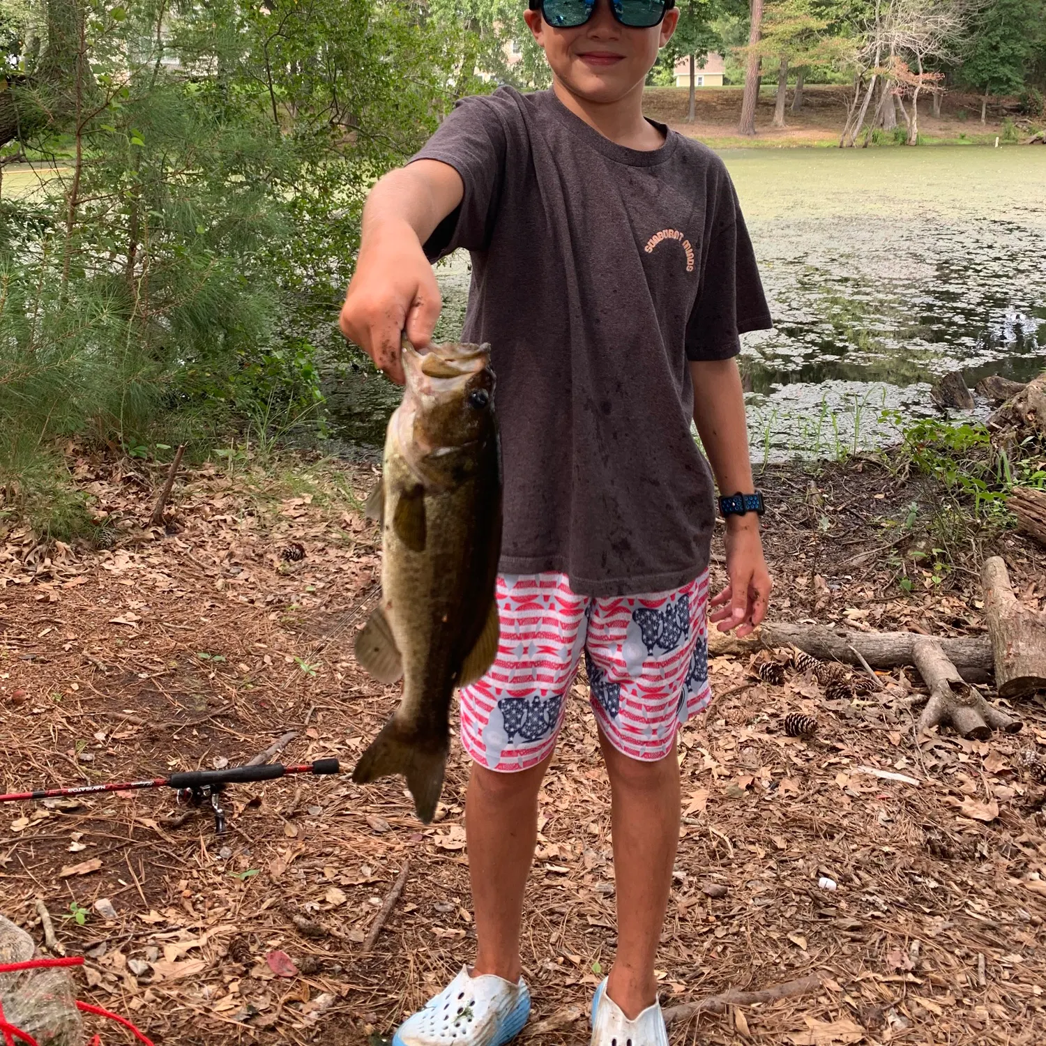 Largemouth bass caught on Fishbrain