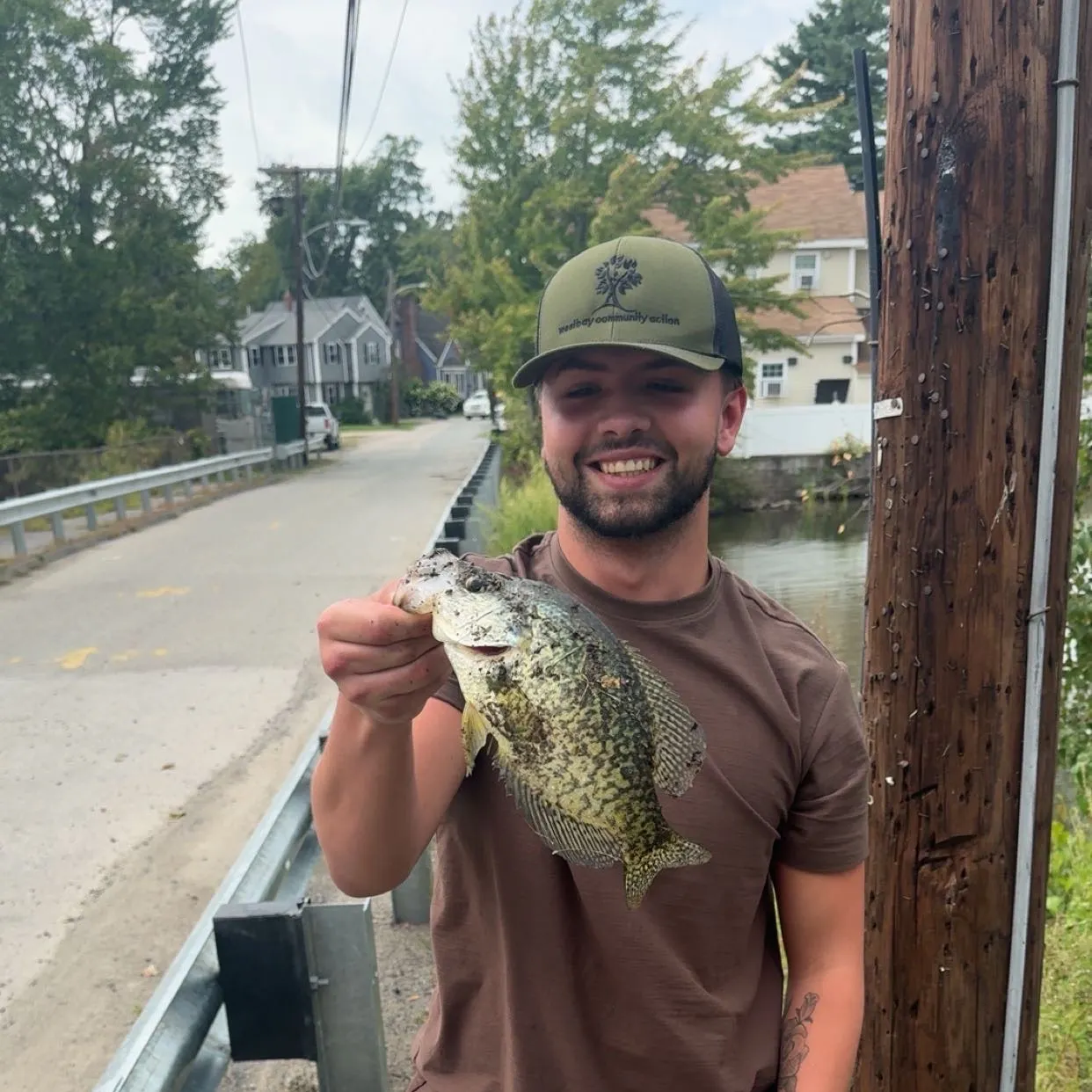 Black crappie caught on Fishbrain
