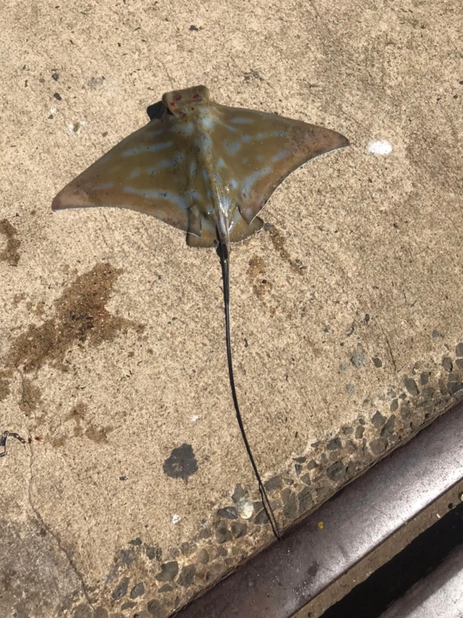 Post image from ayildirim1984