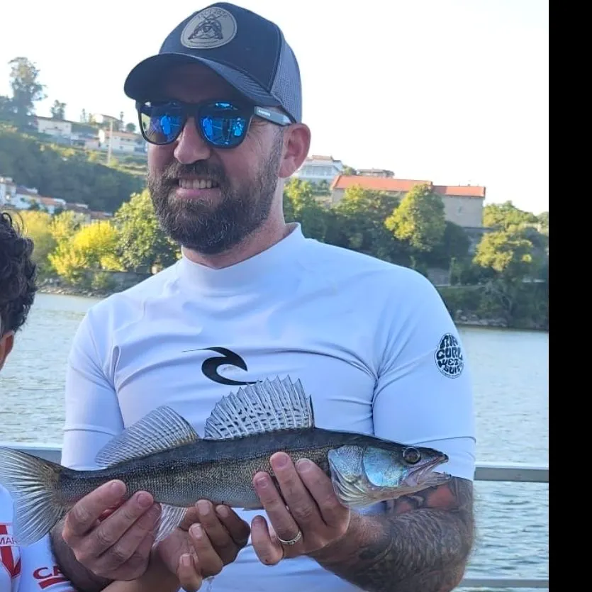 Zander caught on Fishbrain