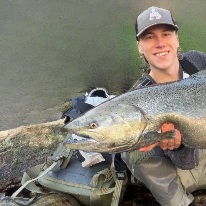 Chinook salmon caught on Fishbrain