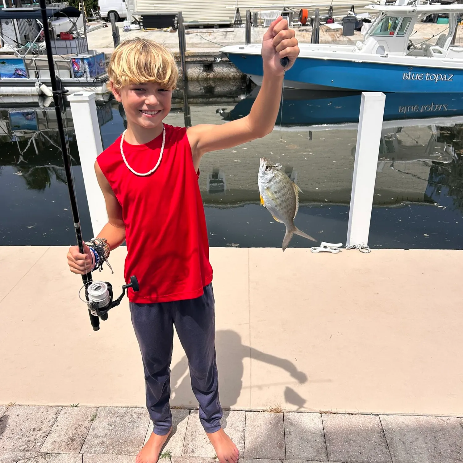 The most recent Yellowfin mojarra catches on Fishbrain