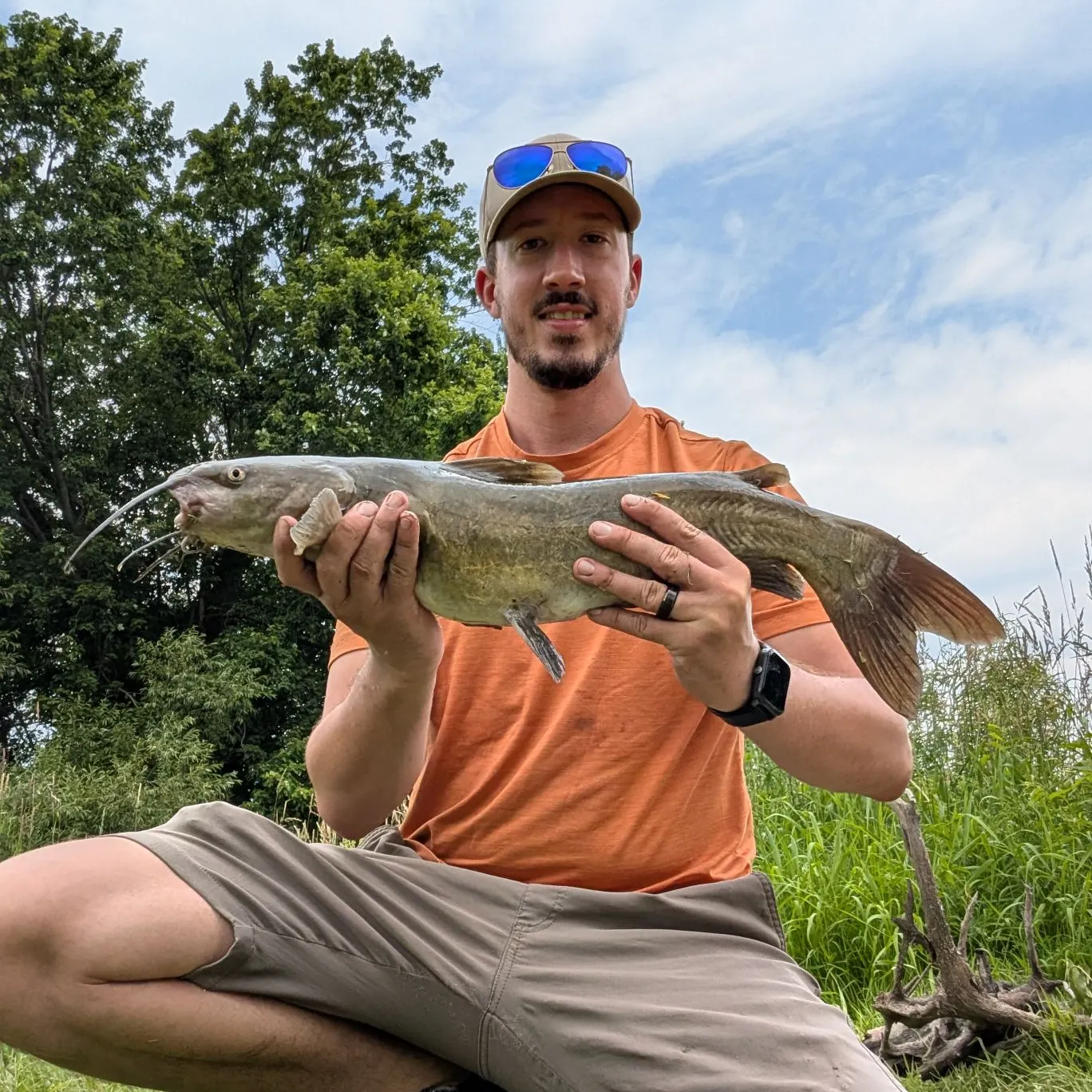 Channel catfish caught on Fishbrain