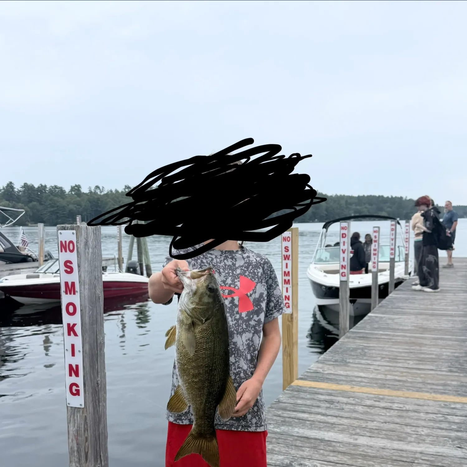 Smallmouth bass caught on Fishbrain
