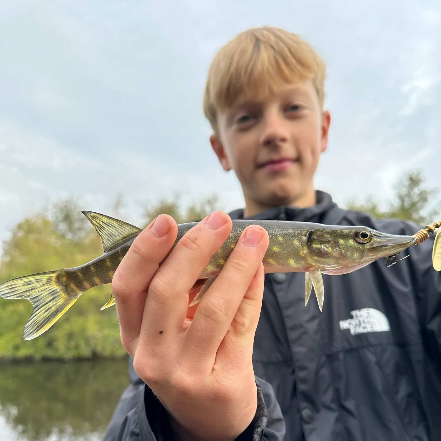 Northern pike caught on Fishbrain