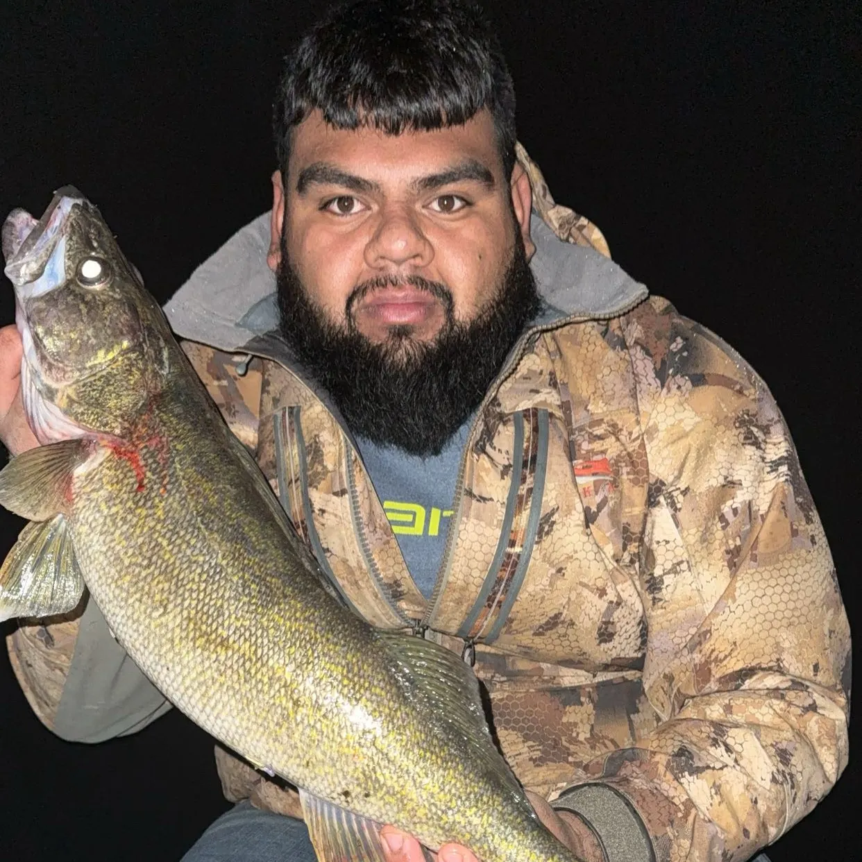 The most recent Walleye catches on Fishbrain