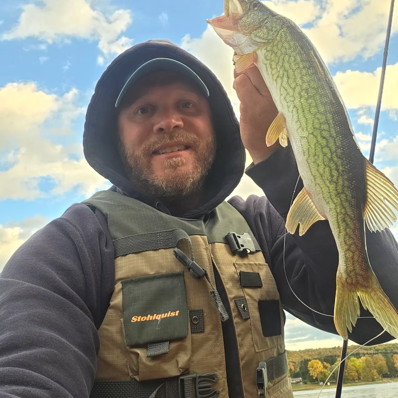 Chain pickerel caught on Fishbrain