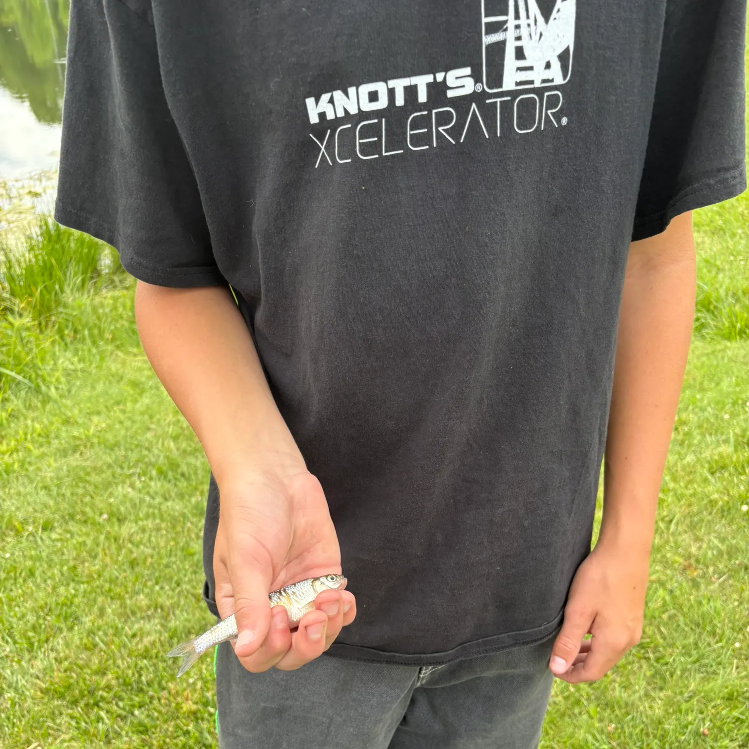 The most recent Common shiner catches on Fishbrain