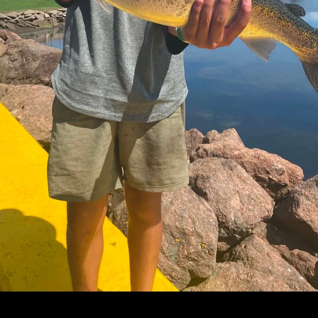 Steelhead caught on Fishbrain