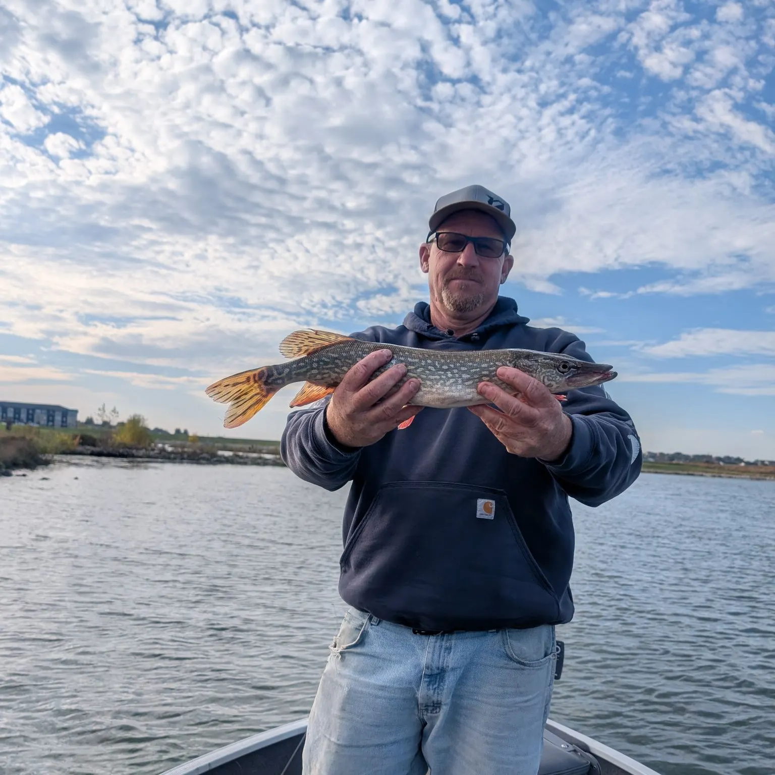 Northern pike caught on Fishbrain