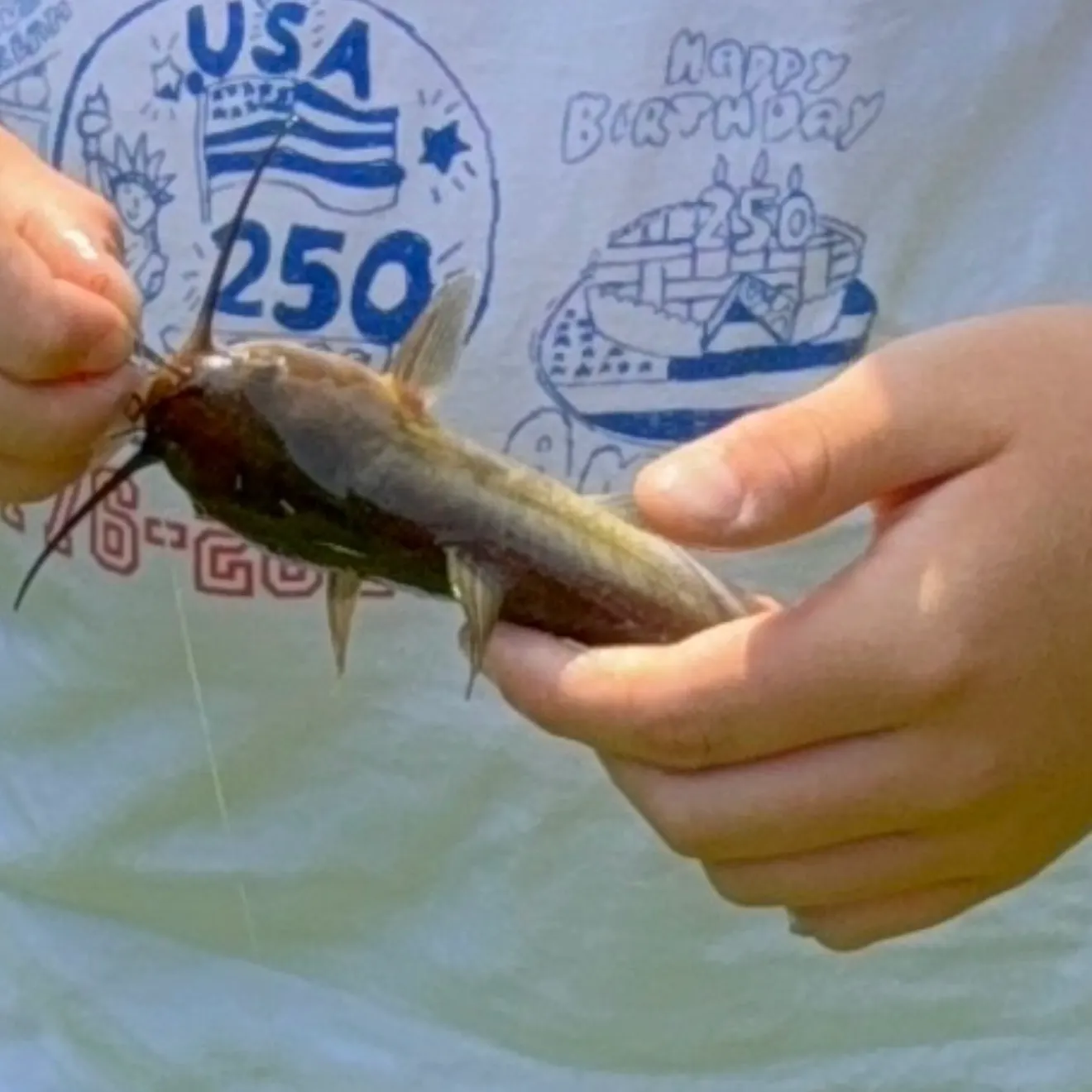 Fish caught on Fishbrain