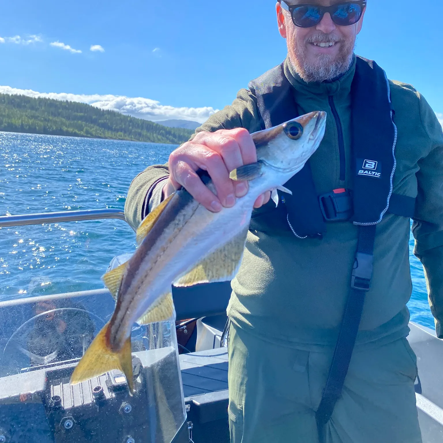 The most recent Whiting catches on Fishbrain