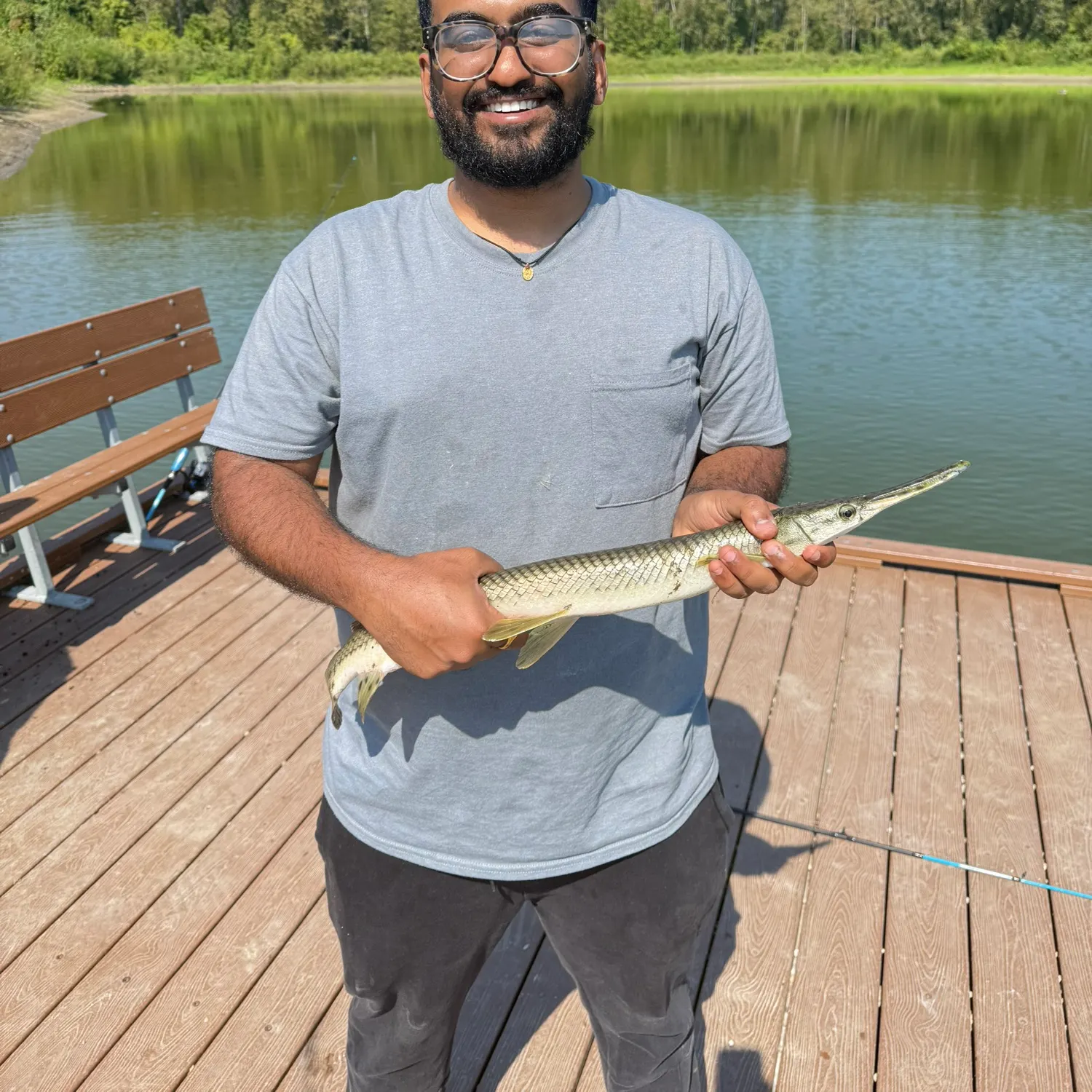 Shortnose gar caught on Fishbrain