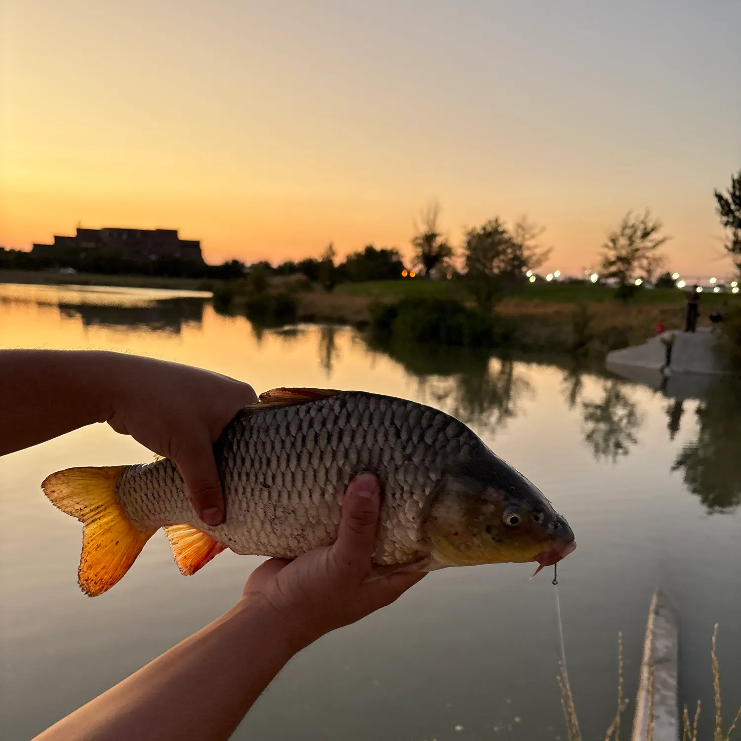 catch