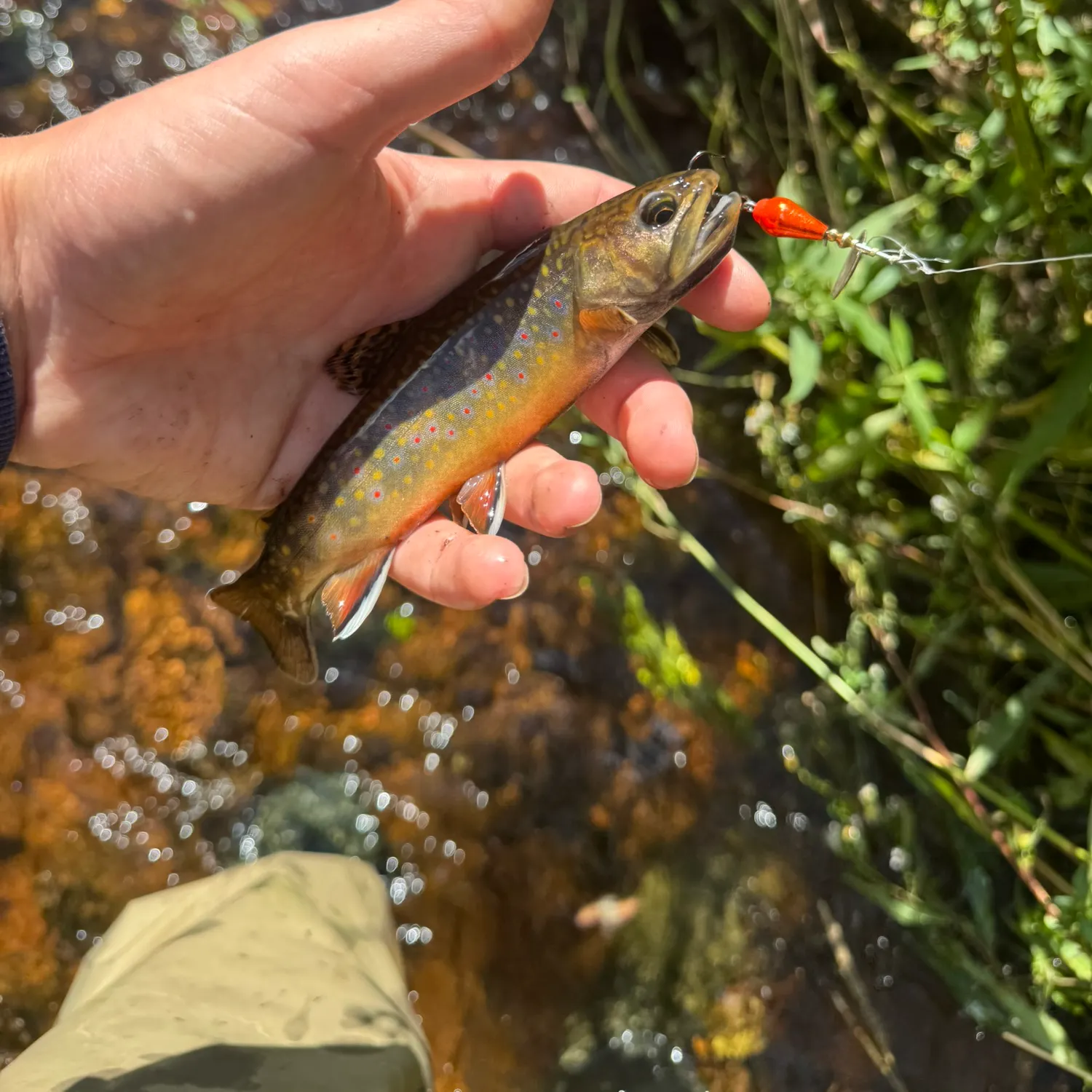 catch