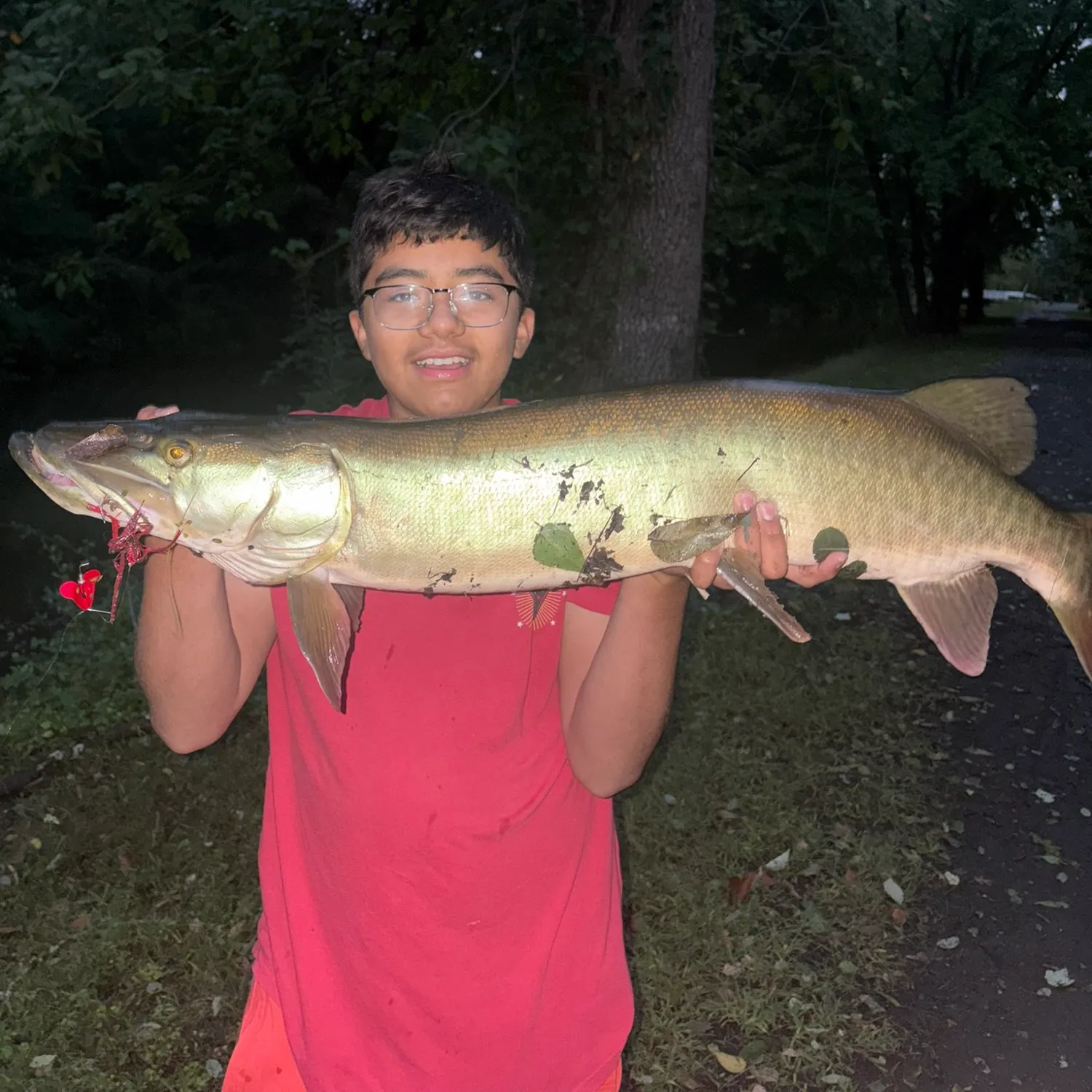 Muskie caught on Fishbrain