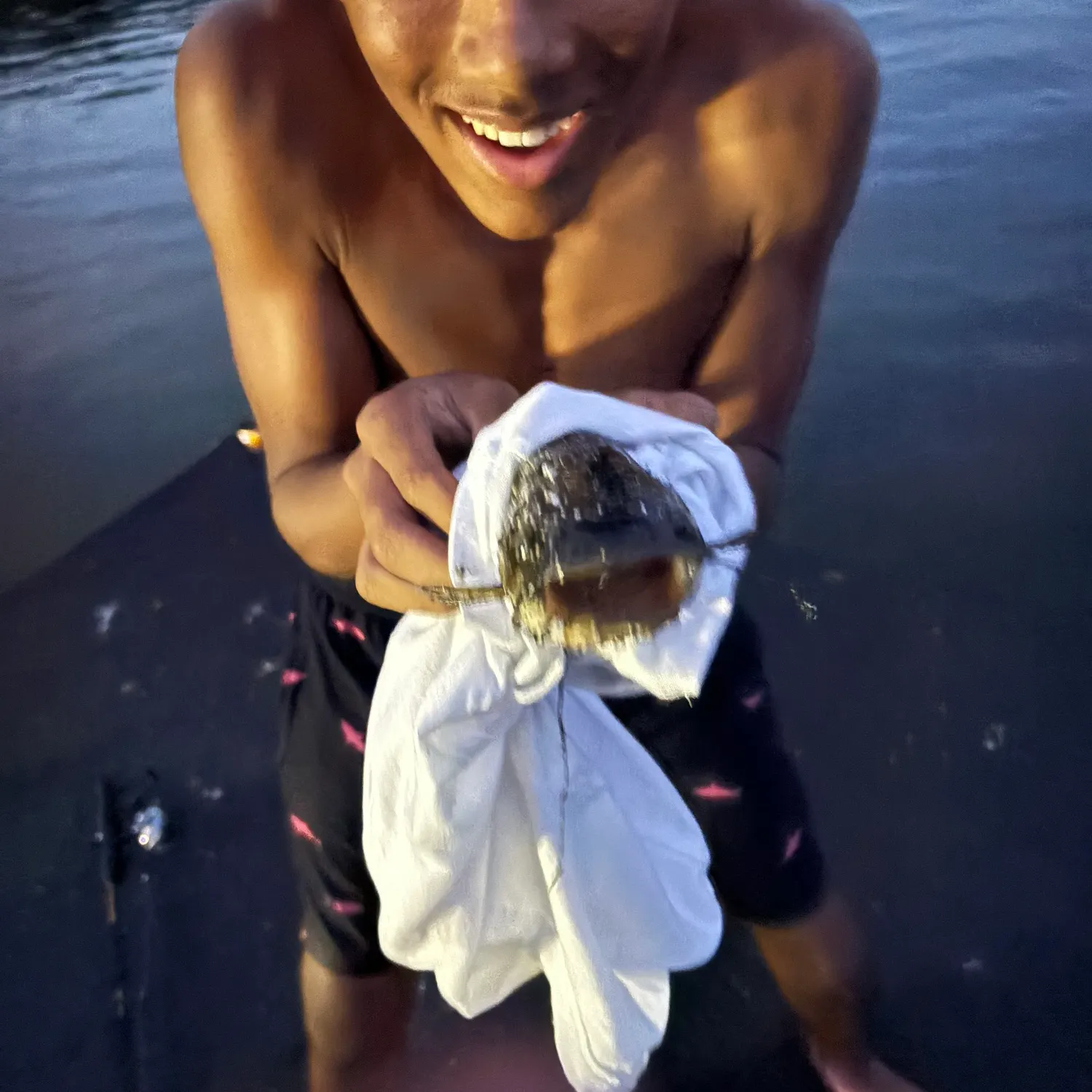 Black bullhead caught on Fishbrain