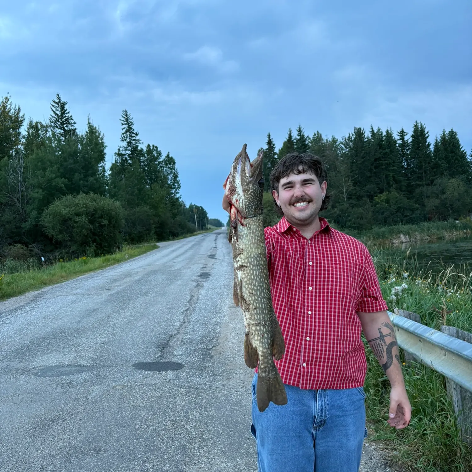 Northern pike caught on Fishbrain