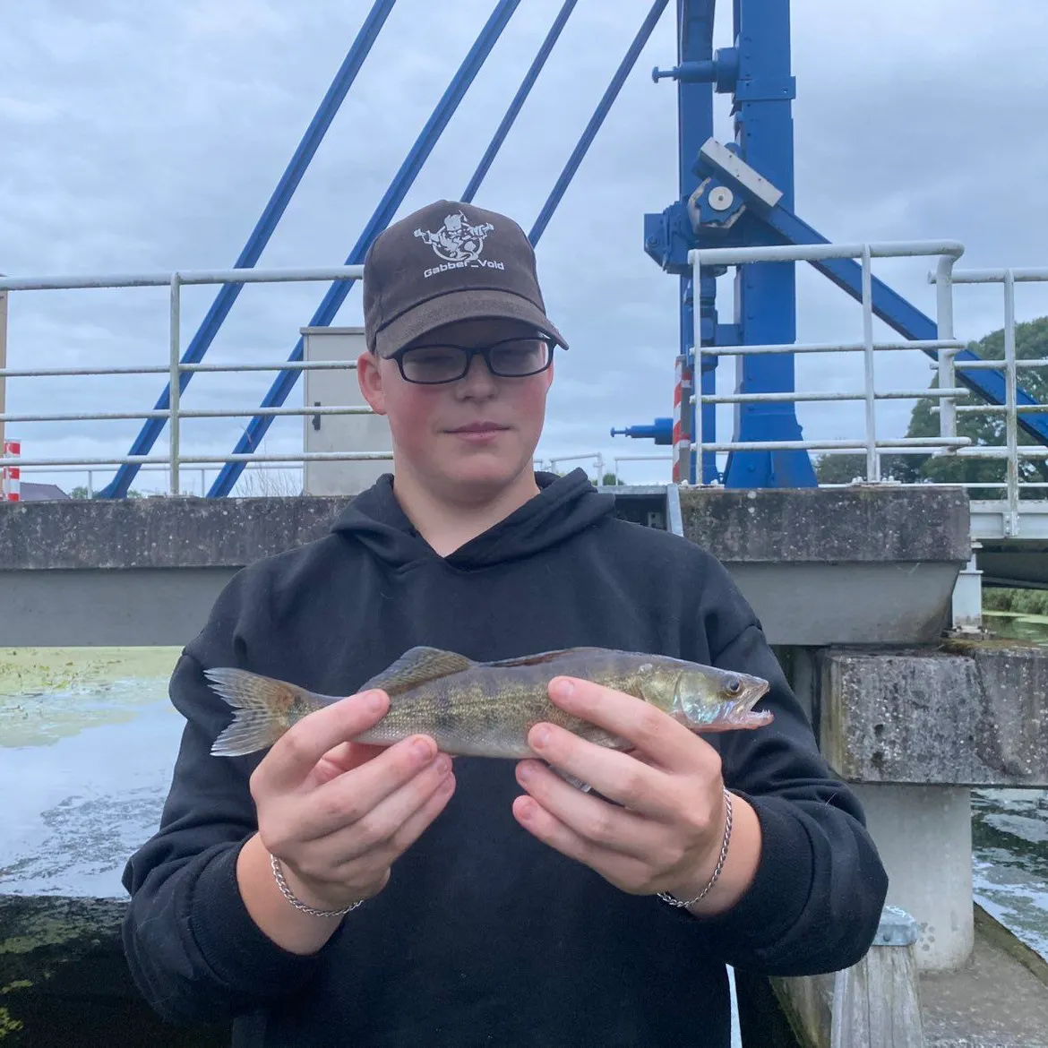 Zander caught on Fishbrain