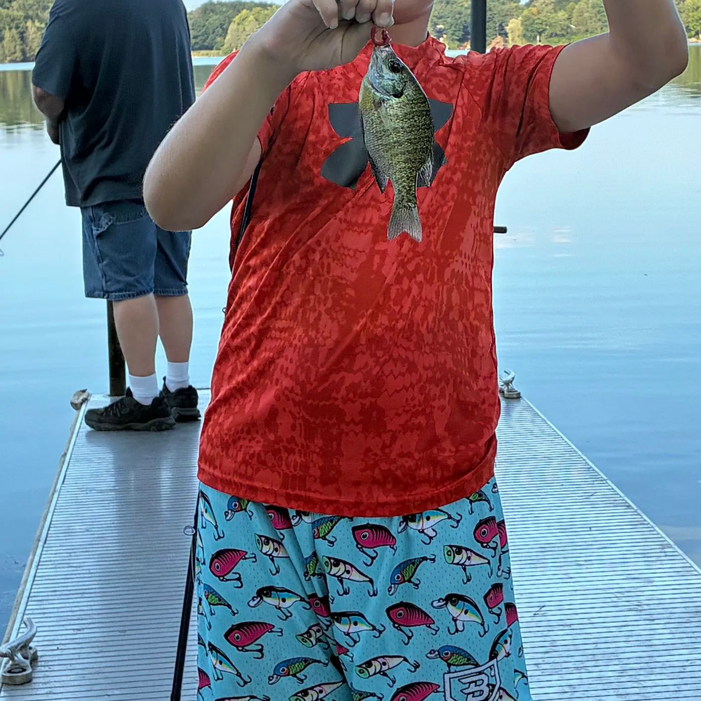 Bluegill caught on Fishbrain