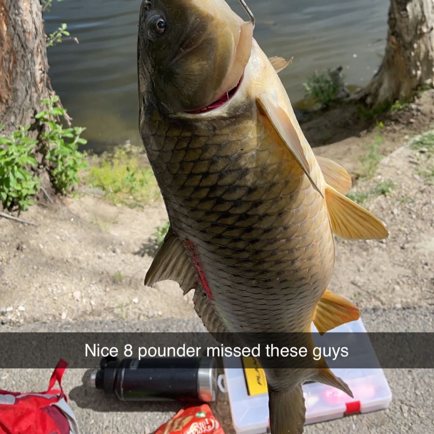 angler catch