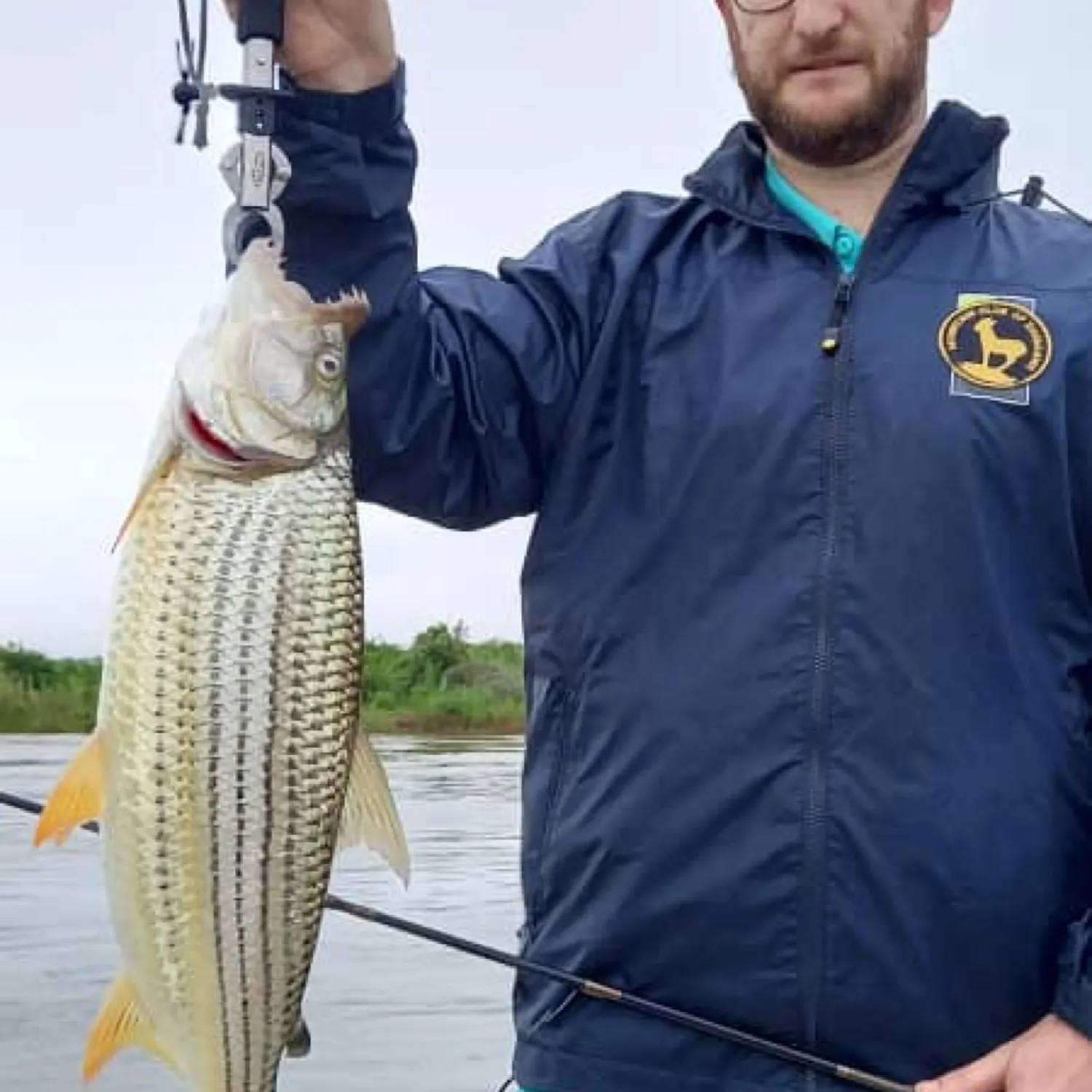 angler catch