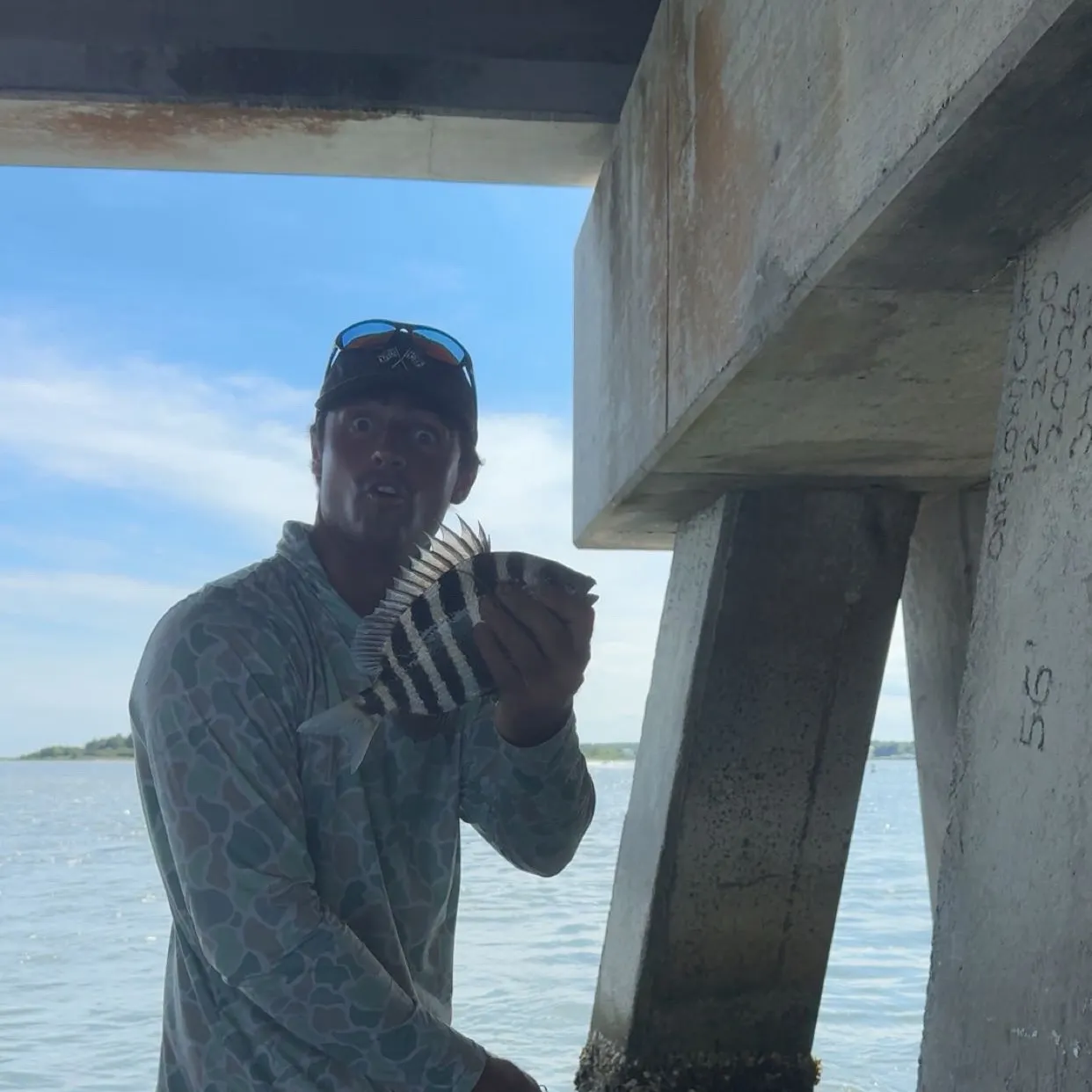 Sheepshead caught on Fishbrain