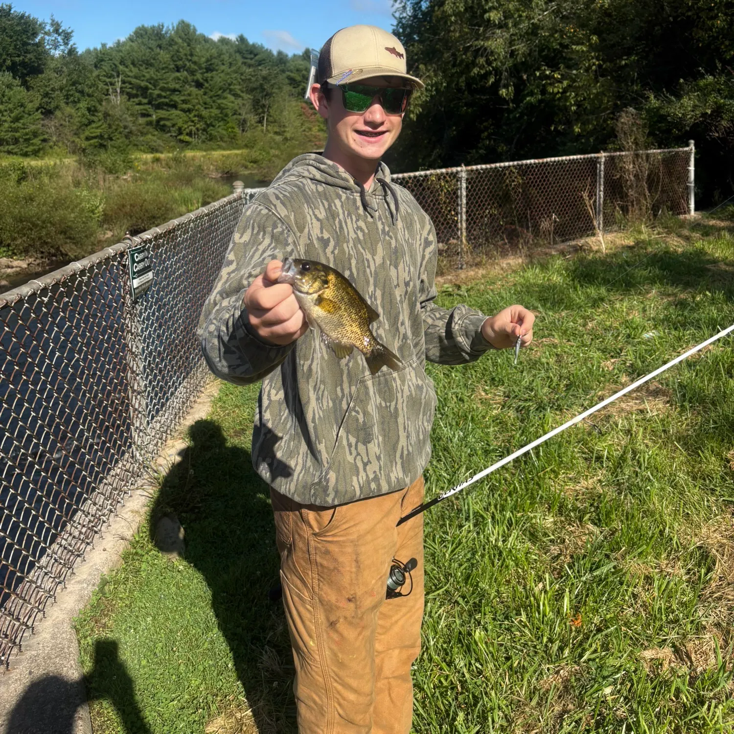 Rock bass caught on Fishbrain