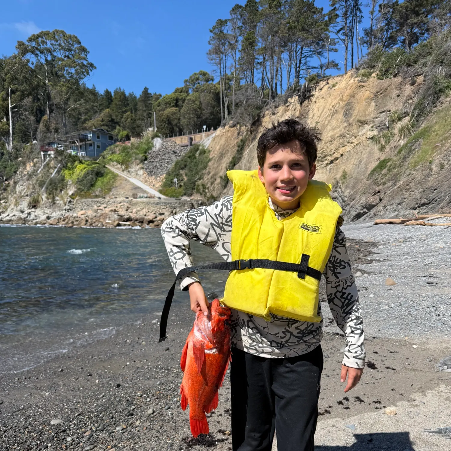 The most recent Vermilion rockfish catches on Fishbrain