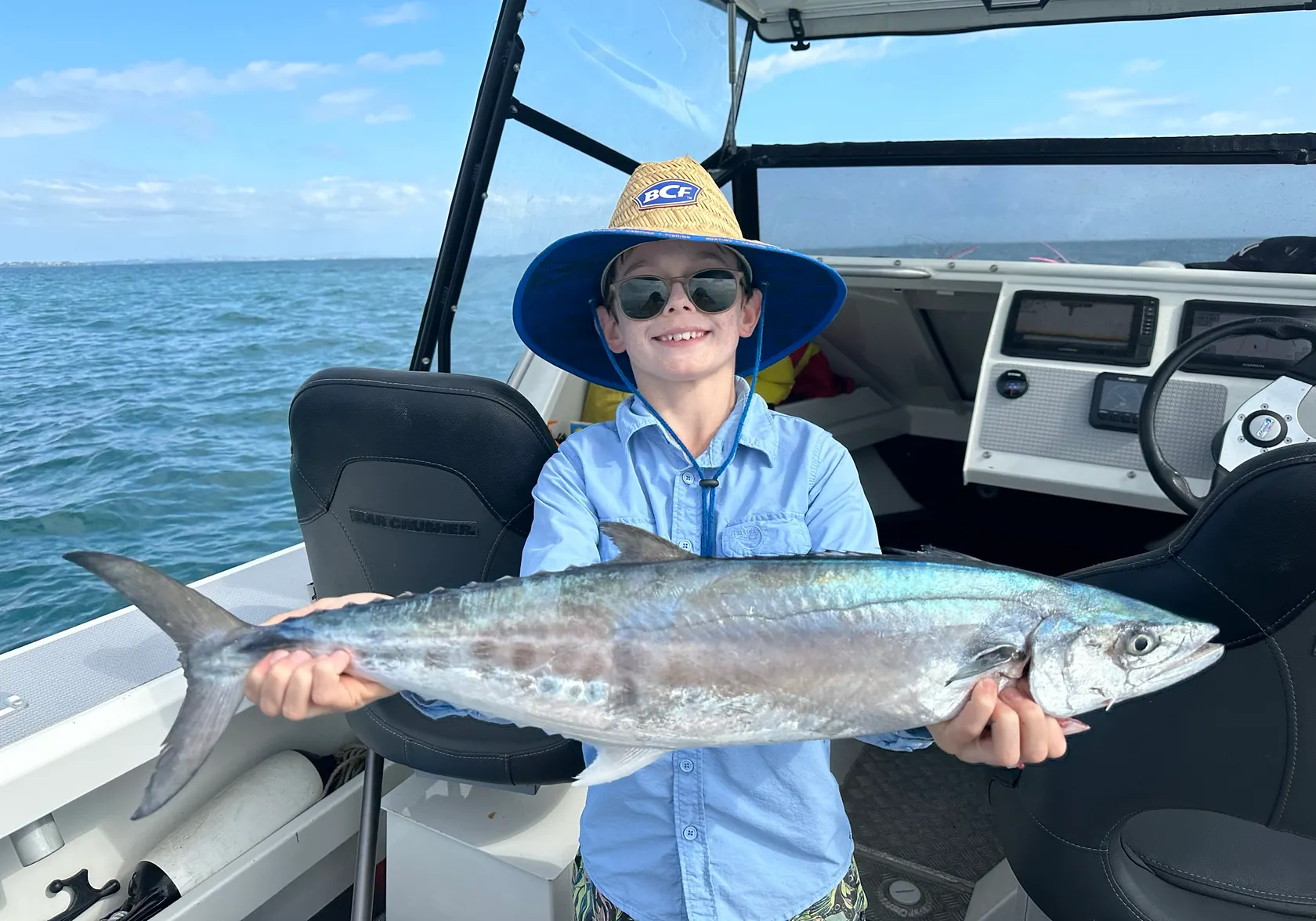 Australian spotted mackerel