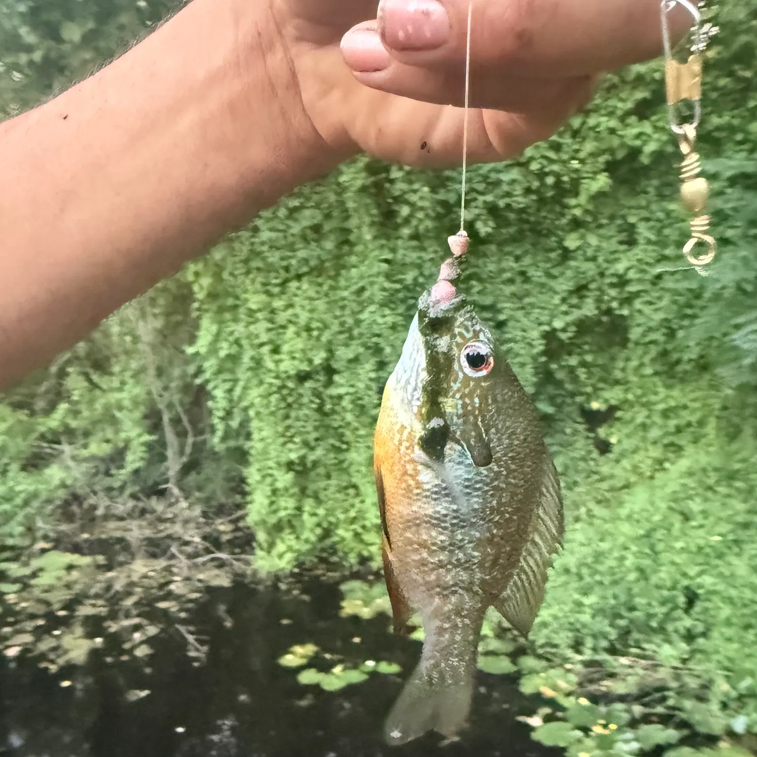 catch