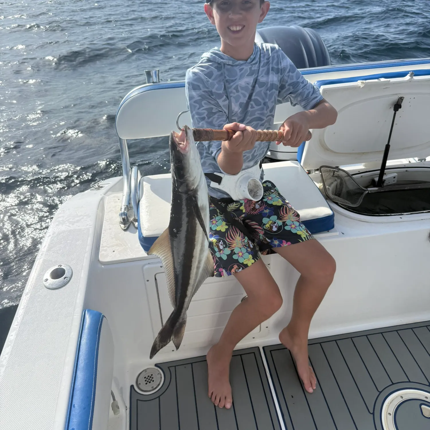 The most recent Cobia catches on Fishbrain