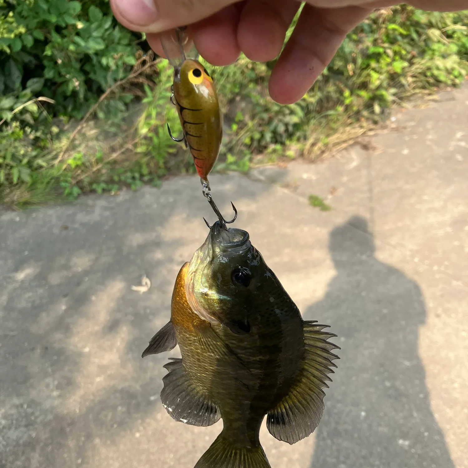 catch