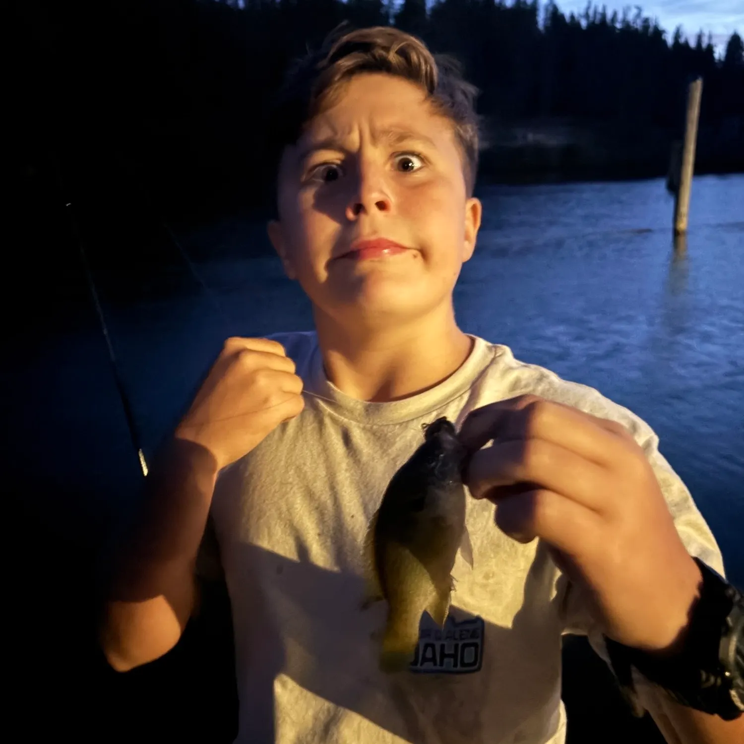 Fish caught on Fishbrain