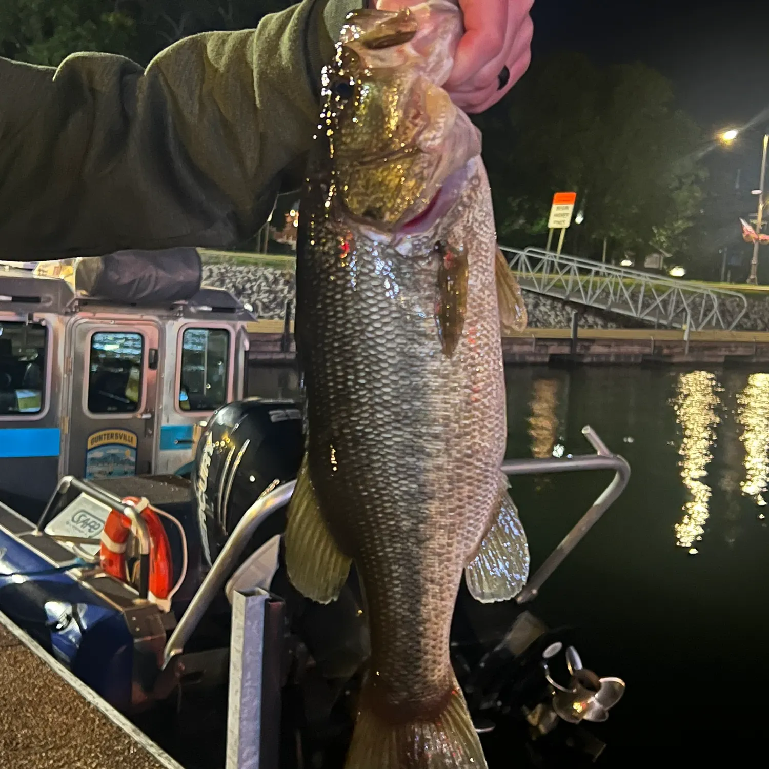 angler catch