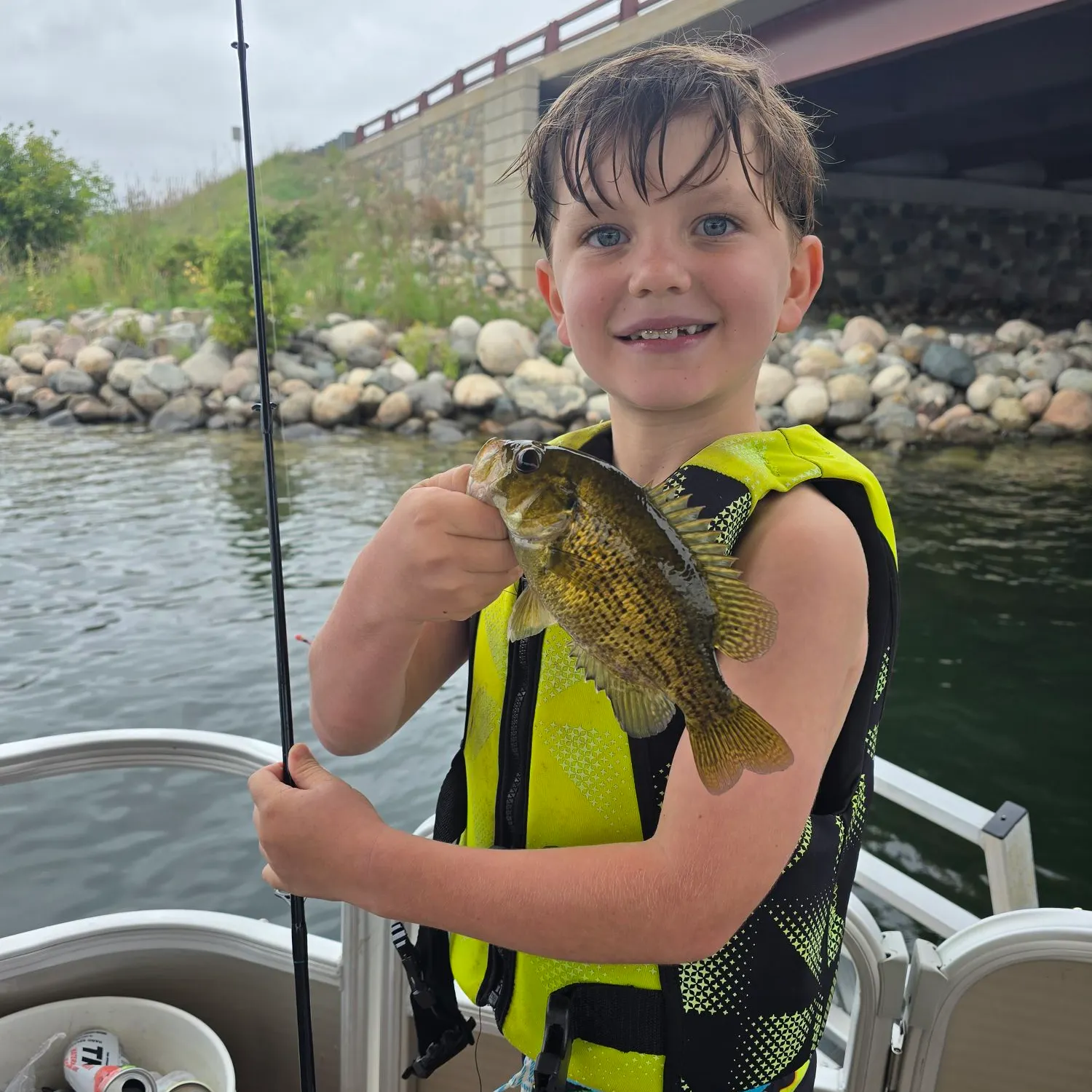 Rock bass caught on Fishbrain
