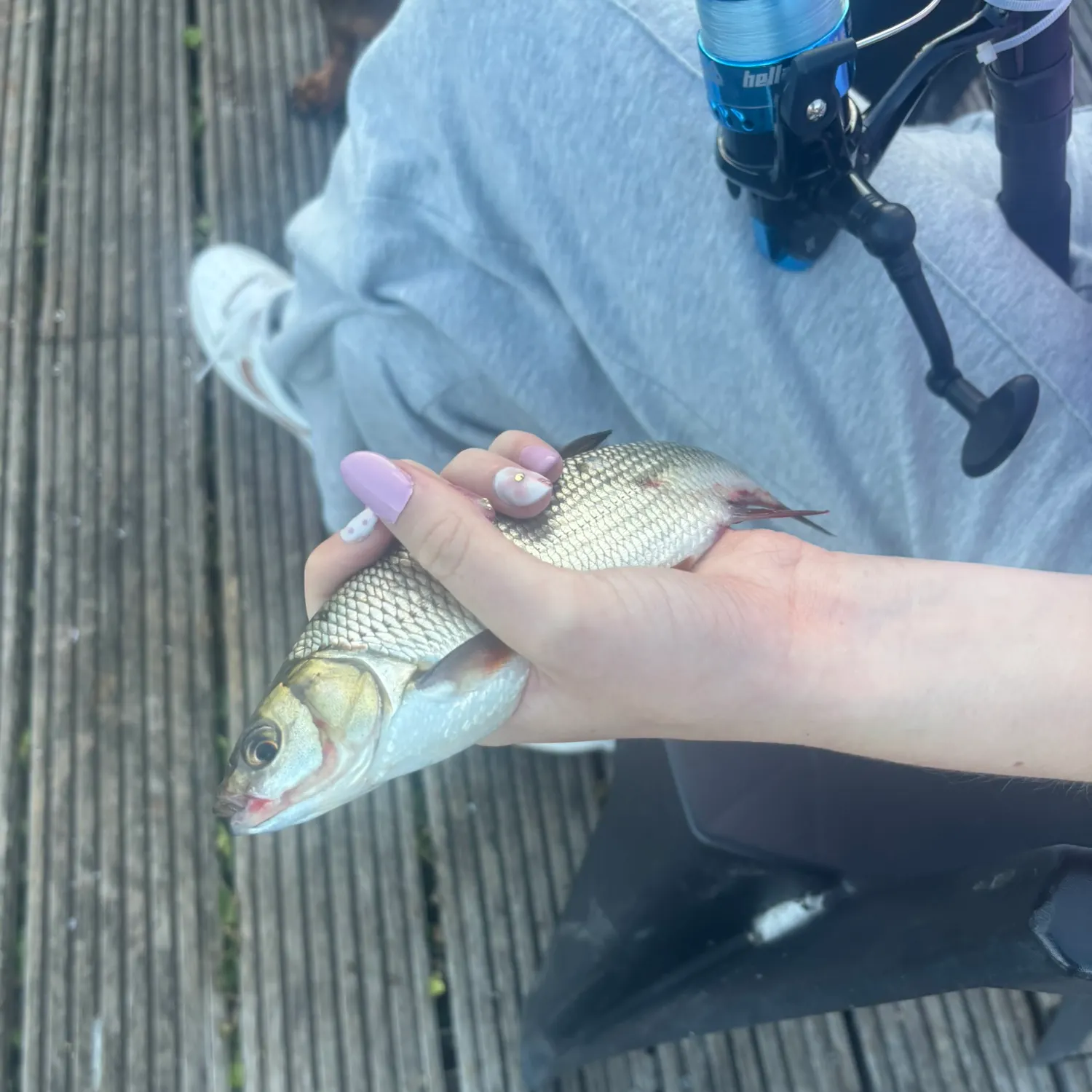 Common bream caught on Fishbrain