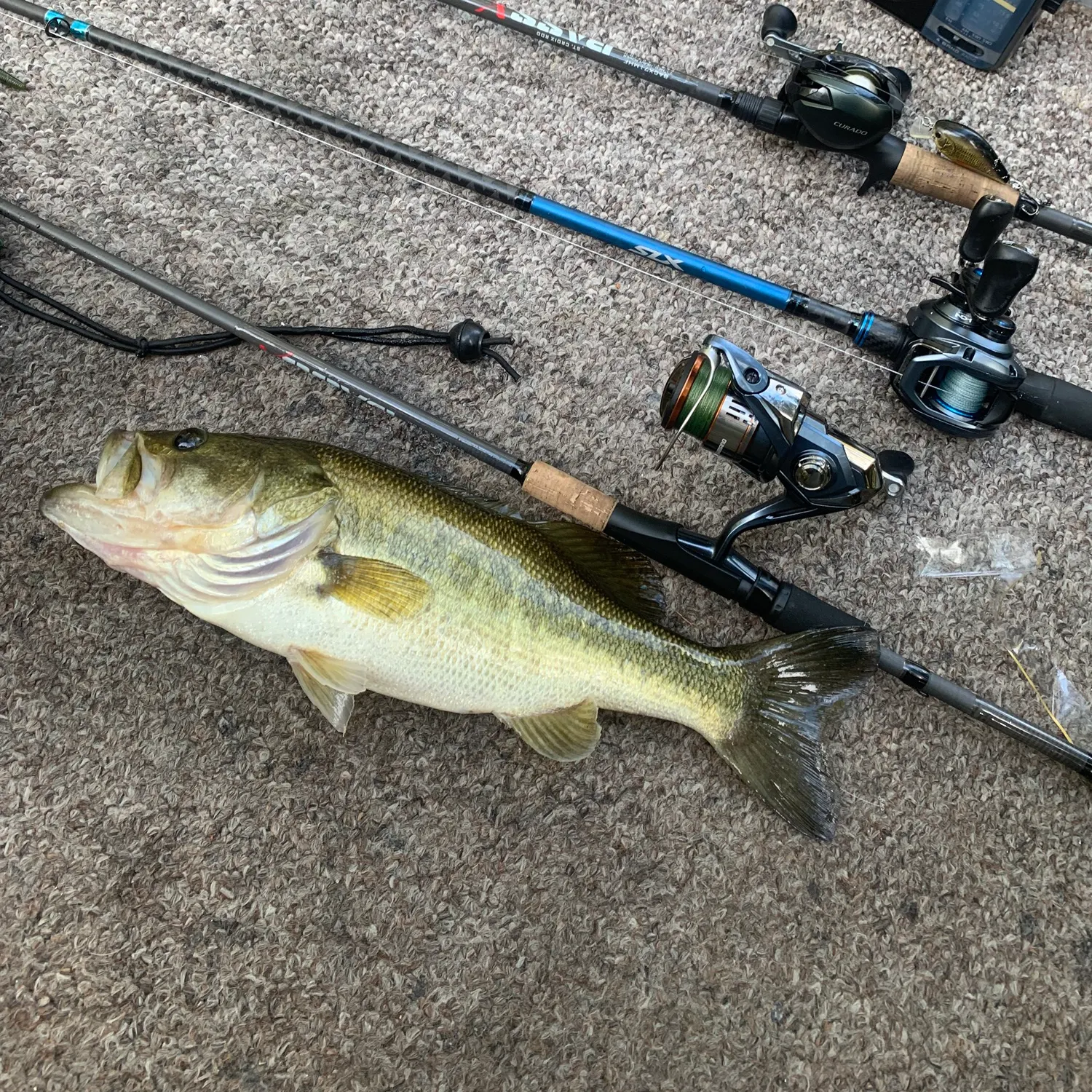 Largemouth bass caught on Fishbrain