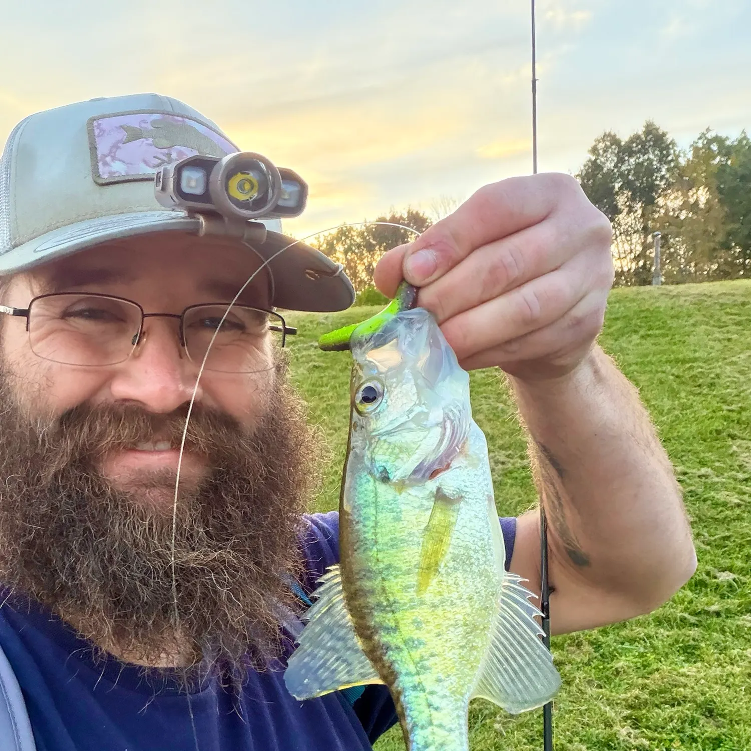 White crappie caught on Fishbrain