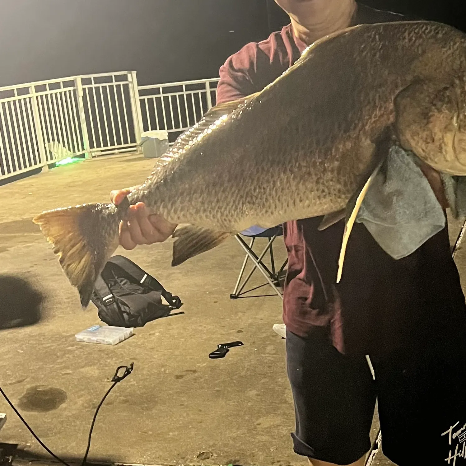 Black drum caught on Fishbrain
