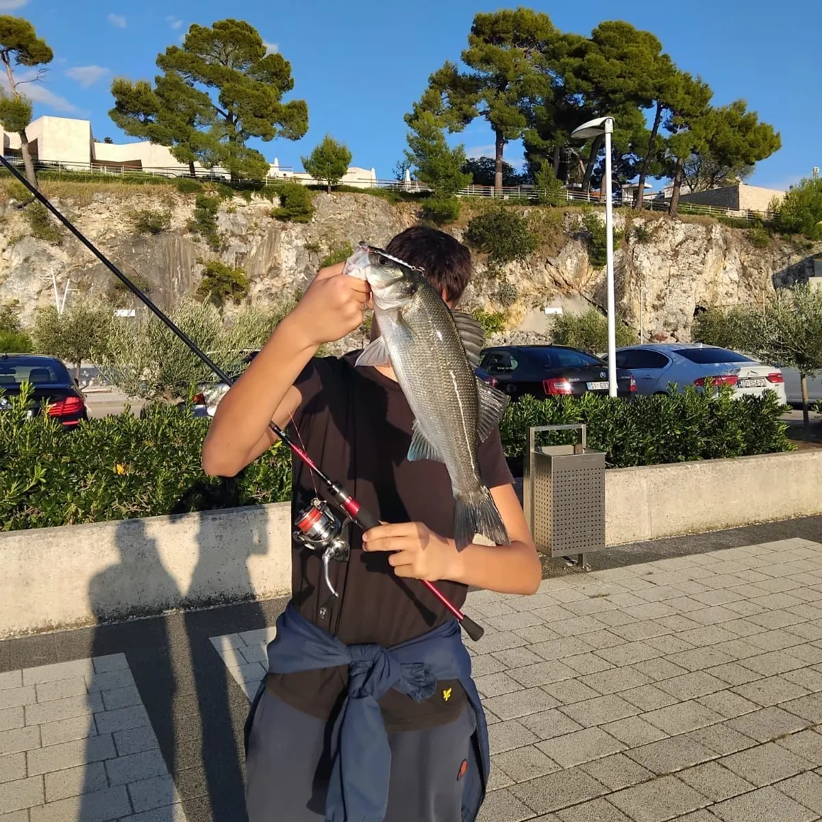 The most recent European seabass catches on Fishbrain