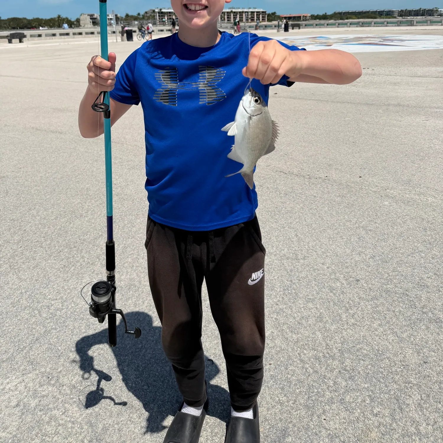 The most recent Sooty grunter catches on Fishbrain