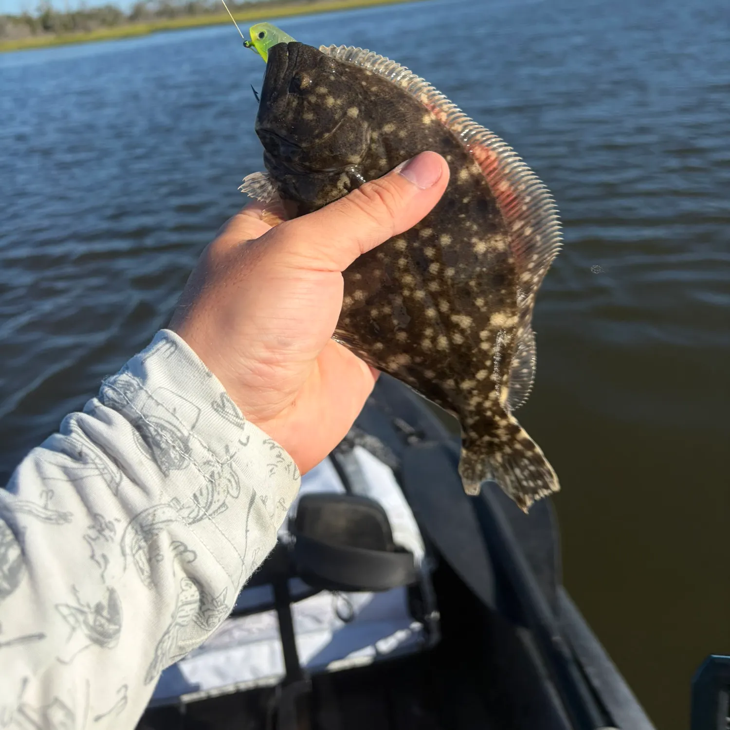 Summer flounder caught on Fishbrain