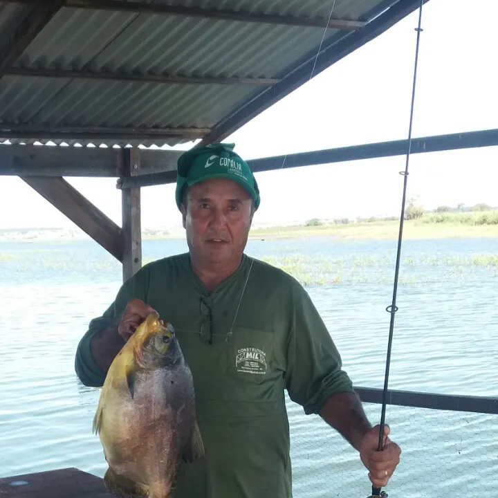 Small-scaled pacu caught on Fishbrain