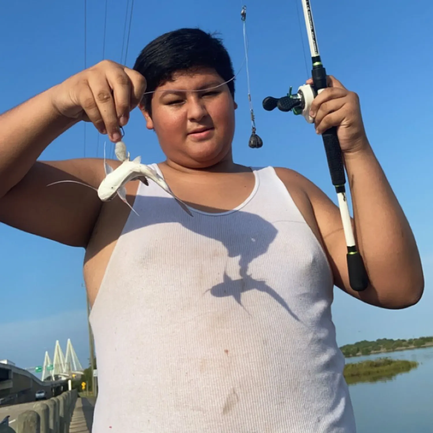 Gafftopsail sea catfish caught on Fishbrain