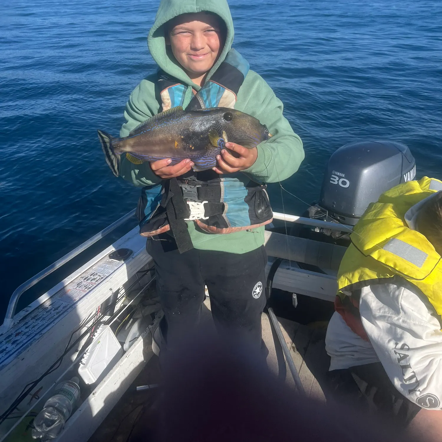 The most recent Yellowfin leatherjacket catches on Fishbrain