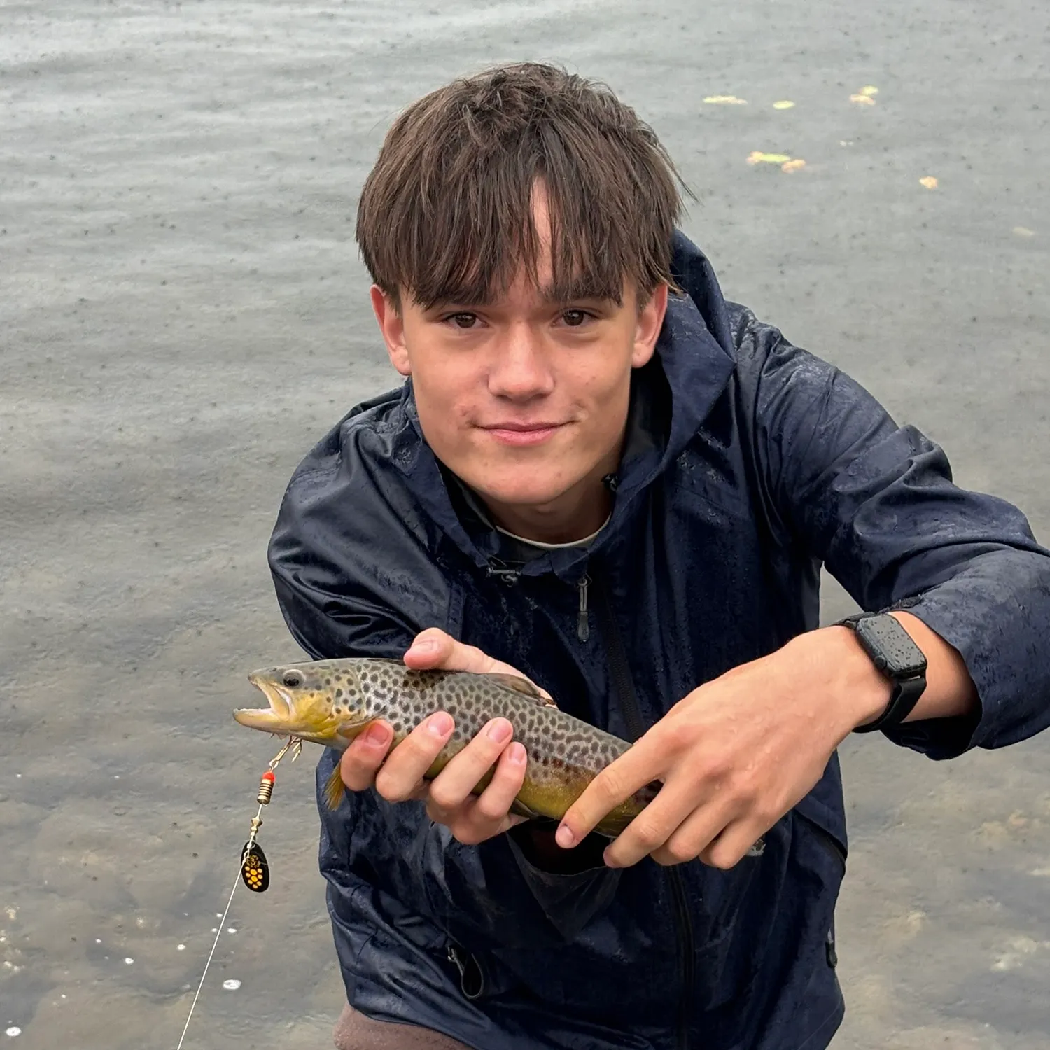 Brown trout caught on Fishbrain