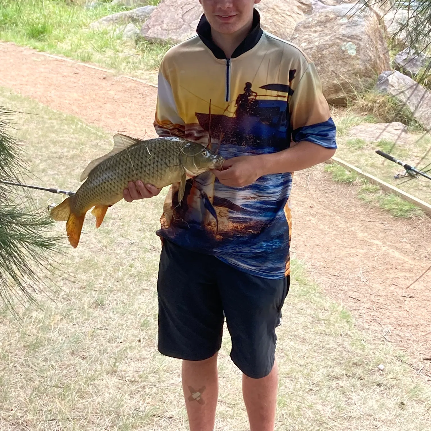 The most recent Narrow-barred Spanish mackerel catches on Fishbrain