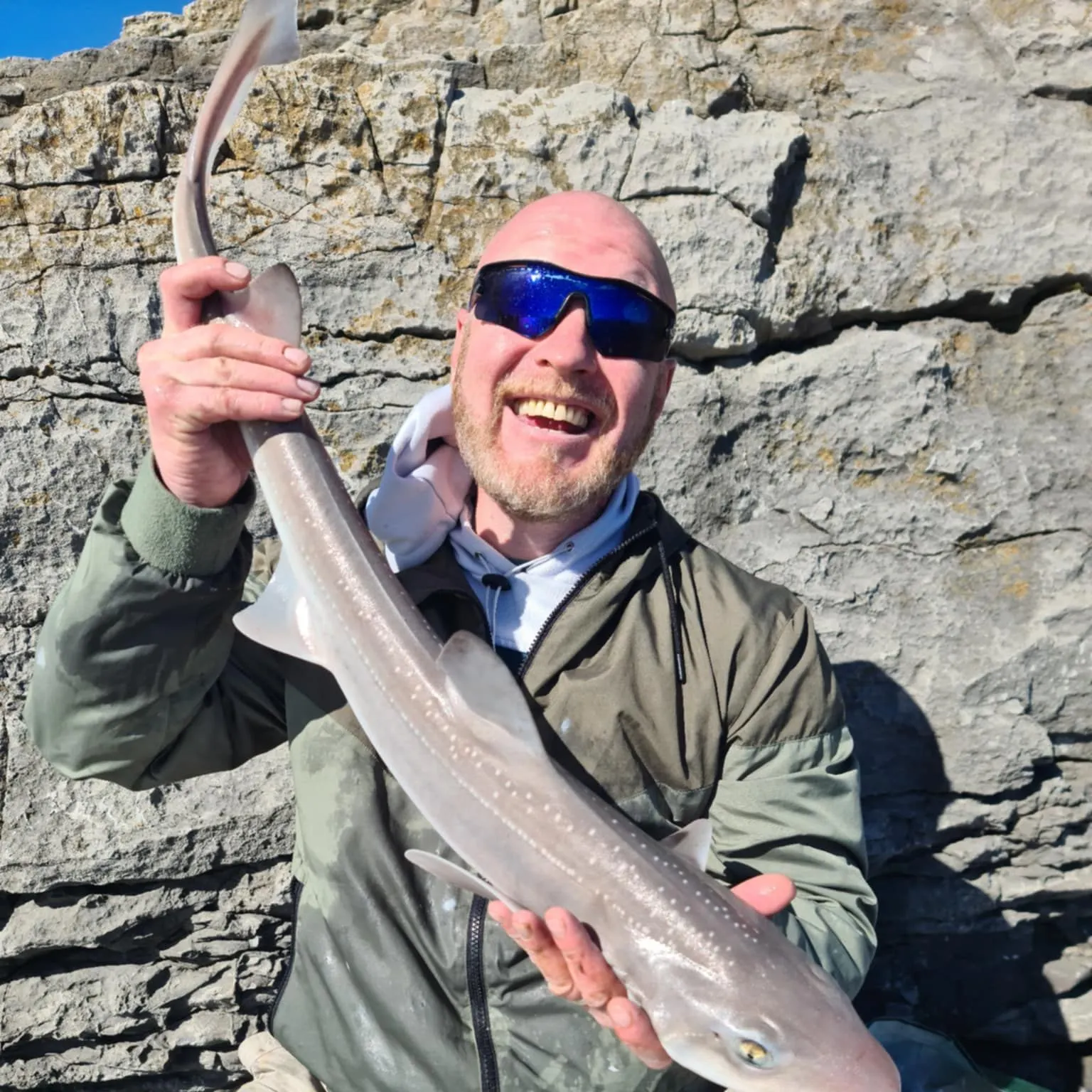 The most recent Starry smooth-hound catches on Fishbrain