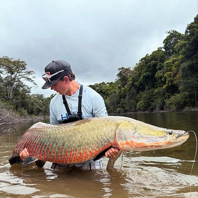 Fishing for Arapaima near you
